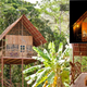 Illustration for article titled 13 Ingenious Treehouses That Go Out on a Limb